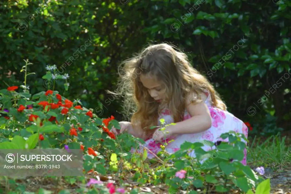 Girl picking flowers in a lawn