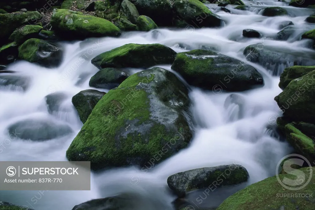 Stream with rocks, North Carolina, USA