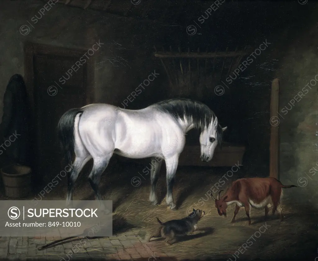 Horse,  goat and dog in barn