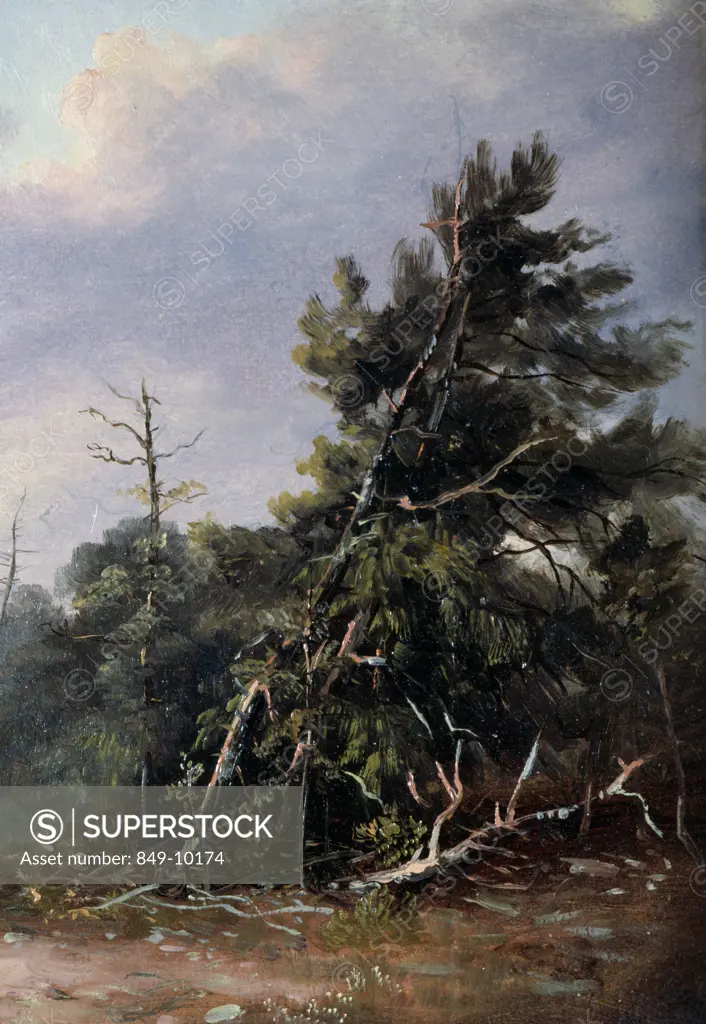 Broken Tree by Russell Smith,  oil on canvas,  (1812-1896 ),  USA,  Pennsylvania,  Philadelphia,  David David Gallery