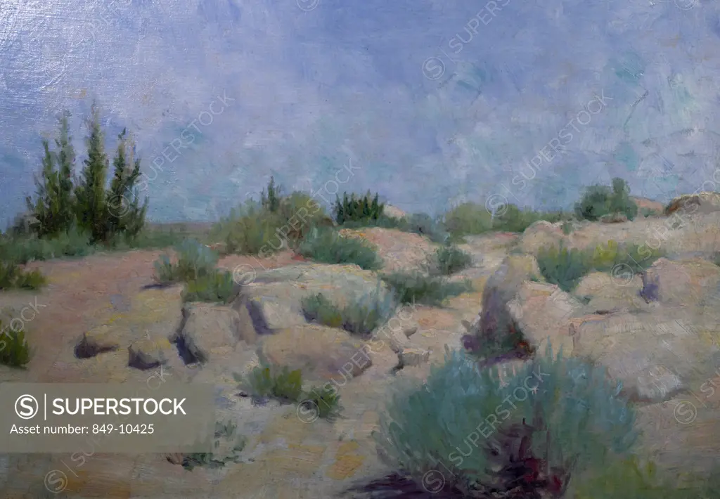 Desert Hillside by Frank Reed Whiteside (1866-1926 ), USA, Pennsylvania, Philadelphia, David David Gallery
