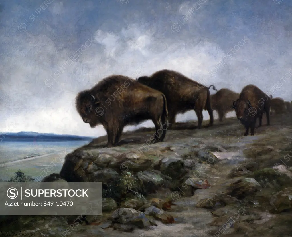 Bisons at the edge of crag,  painted image