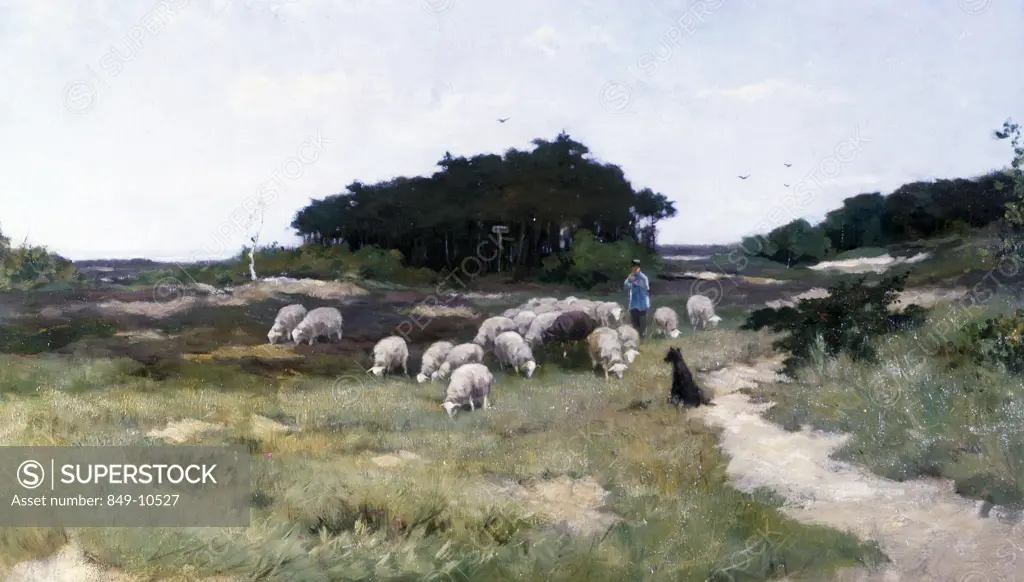Tending the Flock by Johann Sherewitz,  oil painting,  19th century,  USA,  Pennsylvania,  Philadelphia,  David David Gallery