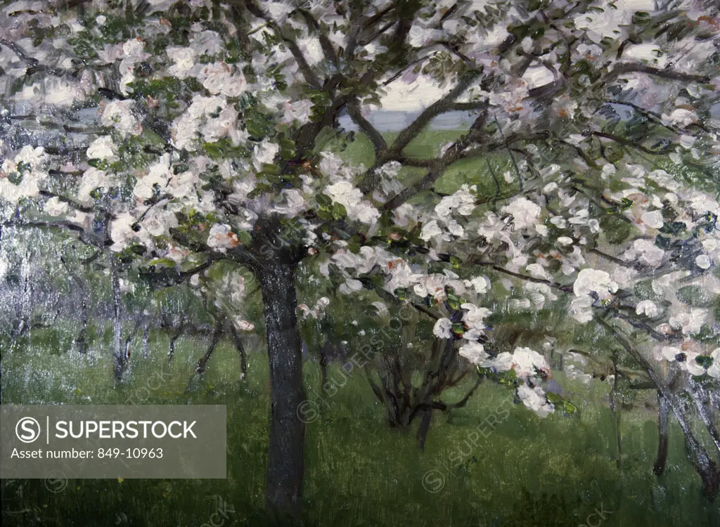 Cherry Blossoms by Harold Speed,  (1872-1957),  USA,  Pennsylvania,  Philadelphia,  David David Gallery