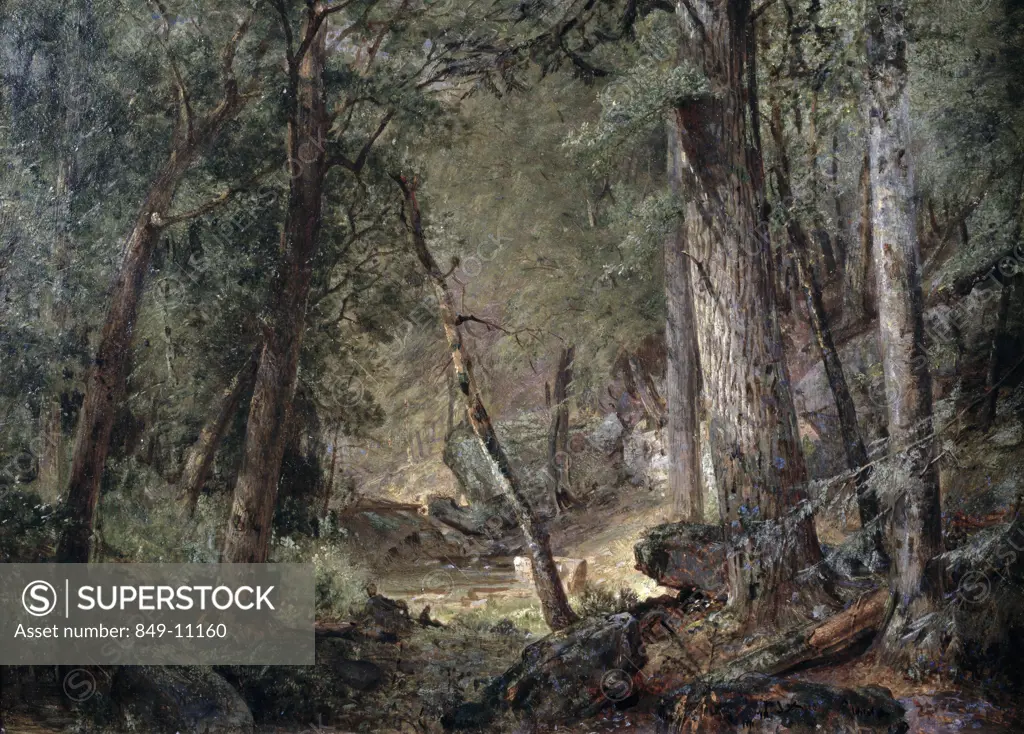 The Woods by William Trost Richards,  (1833-1905 ),  USA,  Pennsylvania,  Philadelphia,  David David Gallery