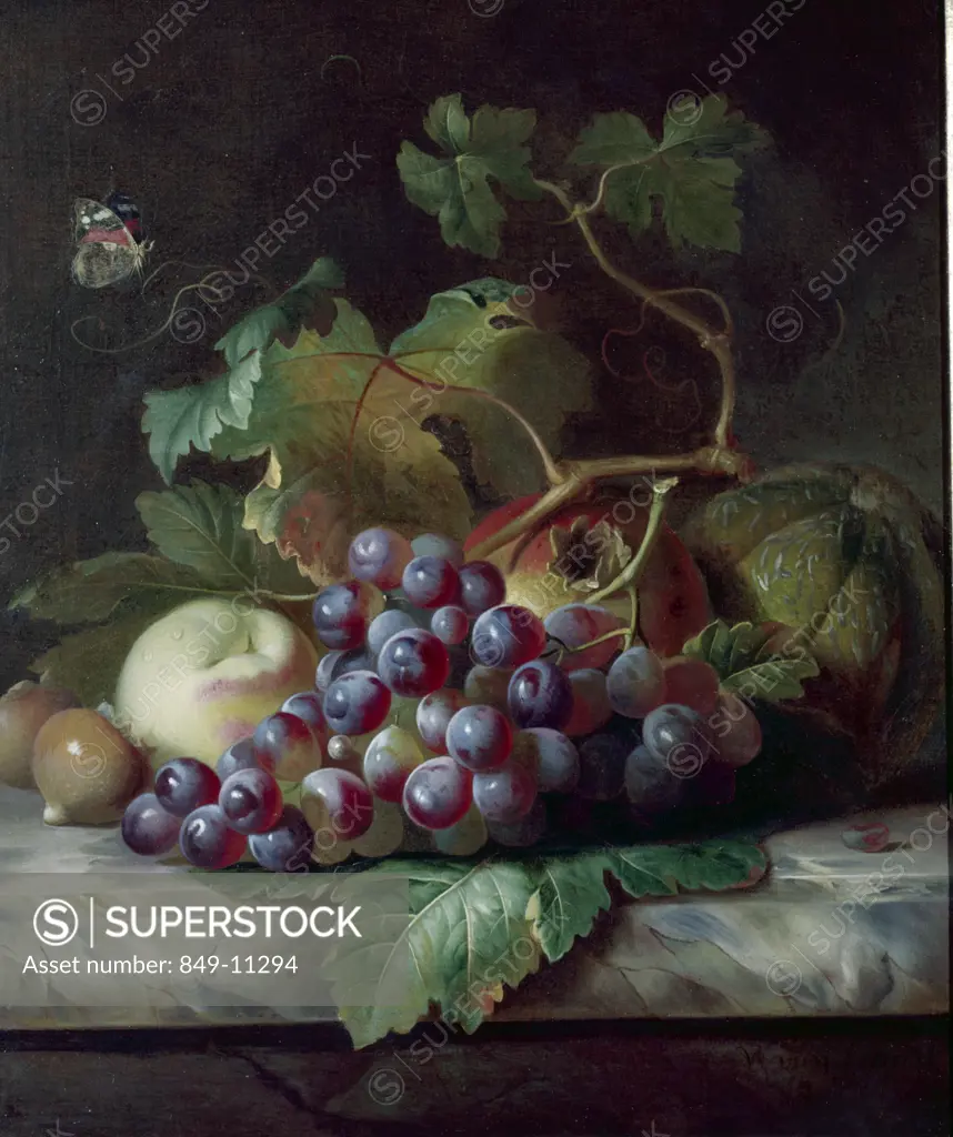 Still Life With Fruit by Willem van Lien,  oil on canvas,  USA,  Pennsylvania,  Philadelphia,  David David Gallery