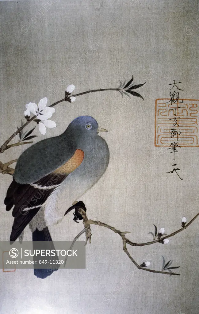 Pigeon on Flowering Branch, unknown artist, illustration, USA, Pennsylvania, Philadelphia, David David Gallery