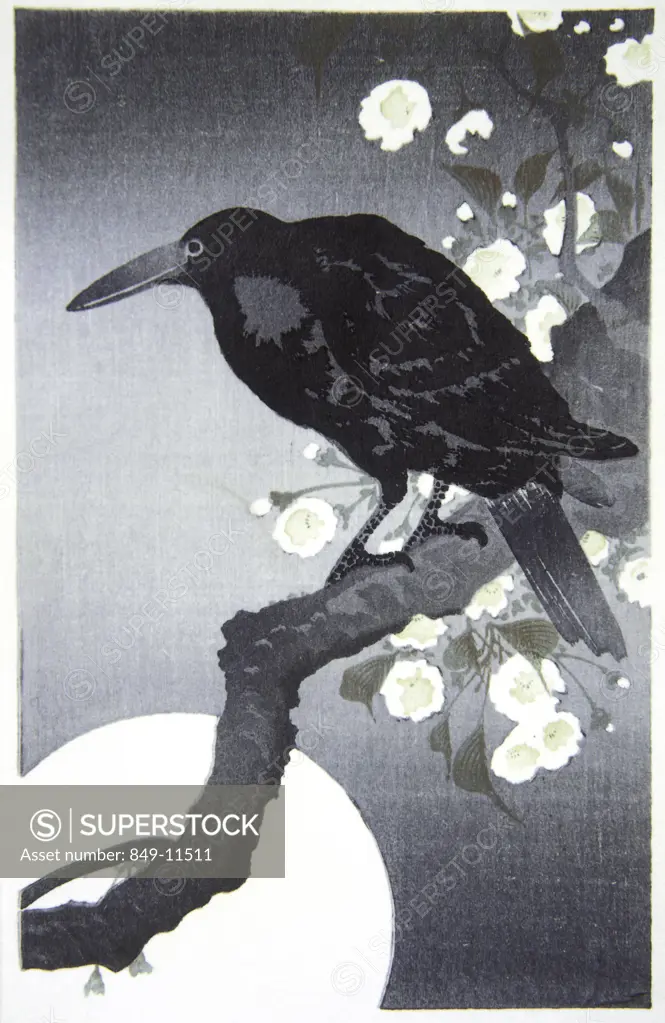 Japanese Print (Blackbird) Japanese Art David David Gallery, Philadelphia, Pennsylvania, USA