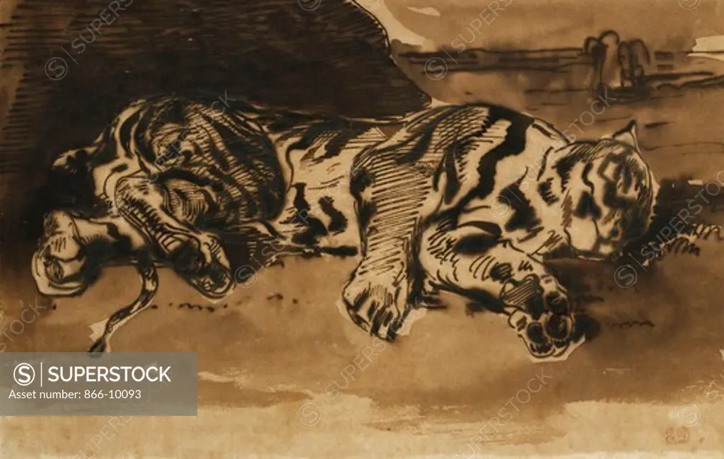Tiger Lying Down; Tigre Couche. Ferdinand Victor Eugene Delacroix (1798-1863). Pencil, pen and black ink and brown wash on paper. Dated 1858. 21 x 31.6cm. The tiger was said to have been given to King Louis Philippe by the Sultan of Morocco.