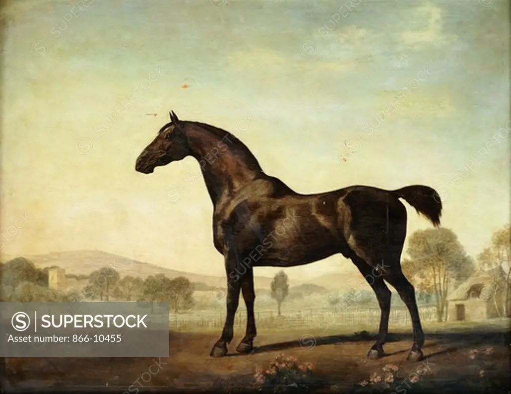 Sweetwilliam', a Bay Racehorse, in a Paddock. George Stubbs (1724-1806). Oil on panel. Dated 1779. 57.1 x 73cm.