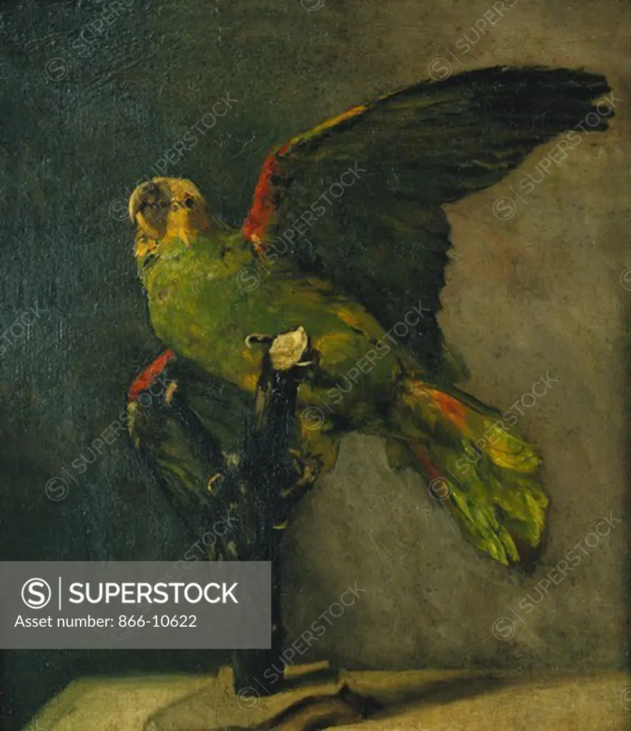 The Green Parrot; Le Perroquet Vert. Vincent van Gogh (1853-1890). Oil on canvas laid on panel. Painted in 1885. 48 x 43cm.