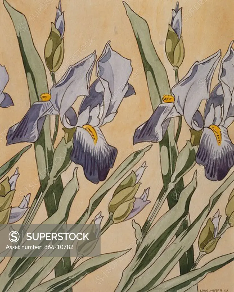 Iris. Kolomon Moser (1868-1918). Watercolour on paper. Signed and dated 1898. 29.5 x 23.8cm.