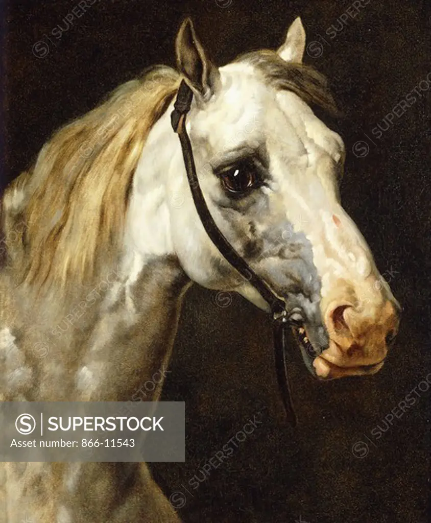 Head of a Piebald Horse. Attributed to Theodore Jean Louis Gericault (1791-1824). Oil on canvas. 54 x 35cm