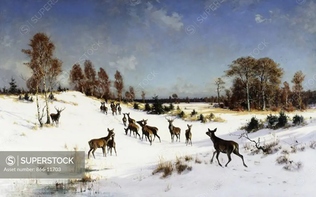 Deer in a Wooded Winter Landscape. Julius Arthur Thiele (1841-1919). Oil on canvas. Signed and dated 1878. 112 x 180.2cm.