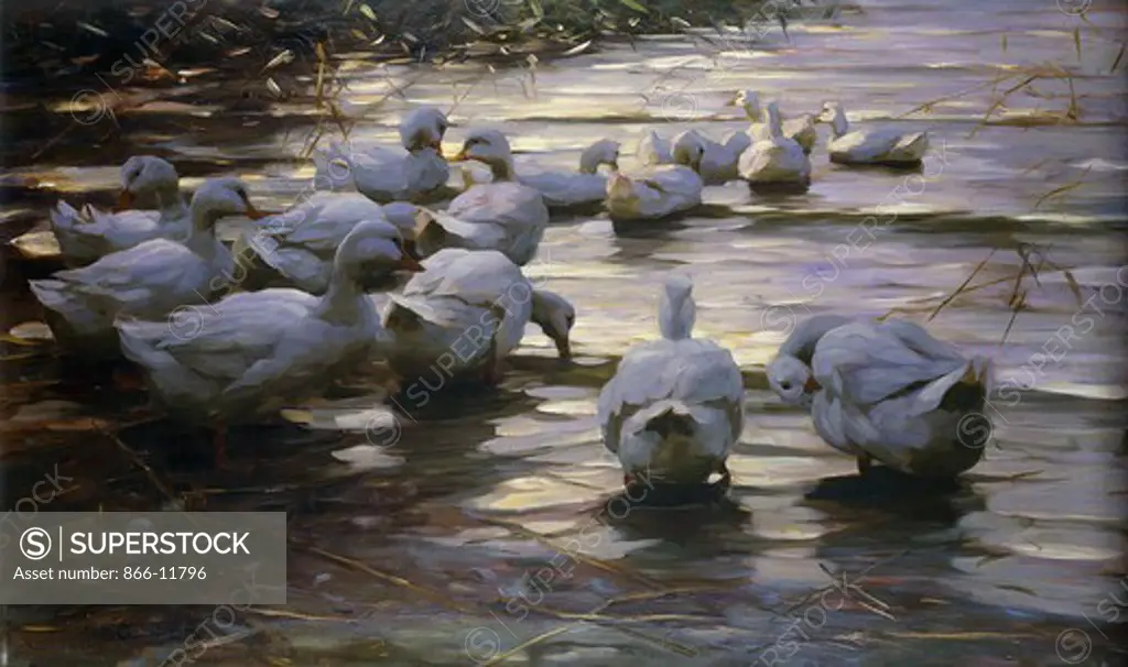 Ducks in Reflected Light by the Shore of a Lake; Enten im Reflexlicht am Seeufer. Alexander Koester (1864-1932). Oil on canvas. 72.5 x 117cm