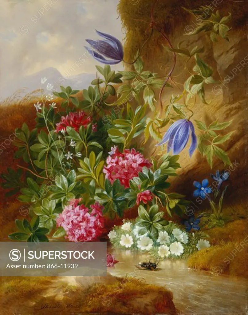 Alpenblum. Josef Schuster (1812-1890). Oil on panel. 39.3 x 30.5cm.