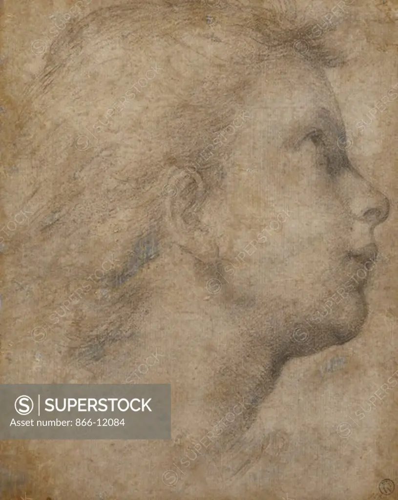 Head of an Angel in Profile looking up to the right. Baccio della Porta, called Fra Bartolommeo (1472-1517). Black chalk on light brown paper. 20.5 x 16.3cm