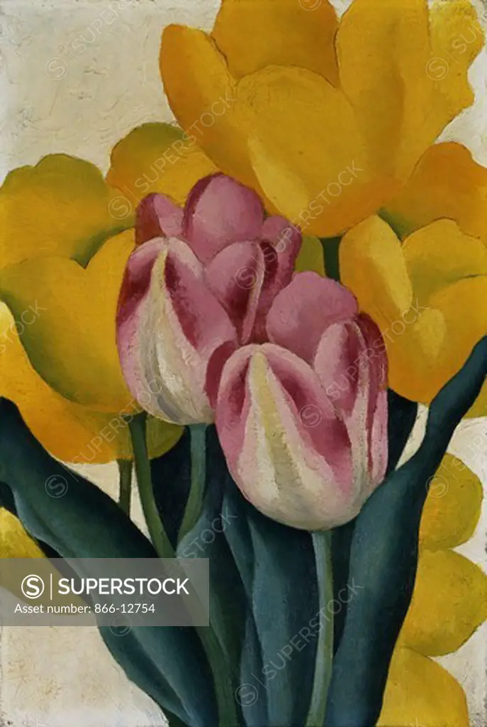 Tulips Pink and Yellow. Georgia O'Keefe (1887-1986). Oil on board. 24.8 x 16.8 cm