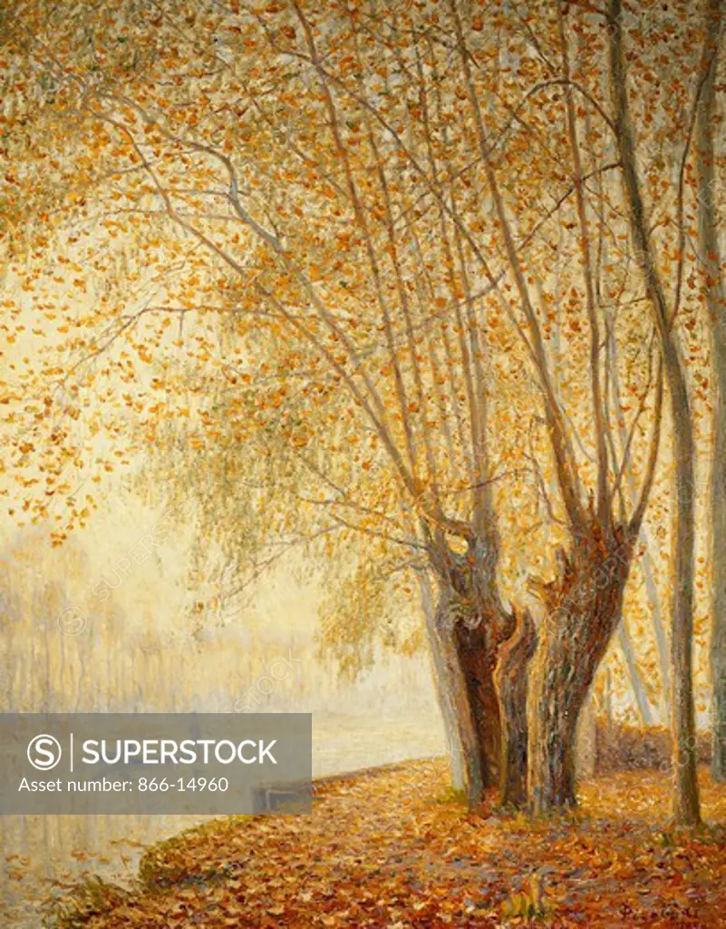 The Willow Trees: Autumn Sun Effect; Les Saules: Effect de Soleil d'Automne. Francis Picabia (1879-1953). Oil on canvas. Painted in 1904. 92 x 73cm.