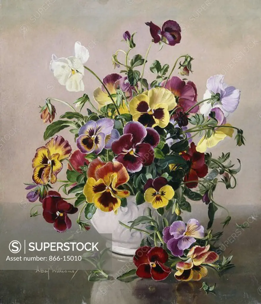 A Still Life with Pansies. Albert Williams (1922-2010). Oil on canvas. 14 x 12in