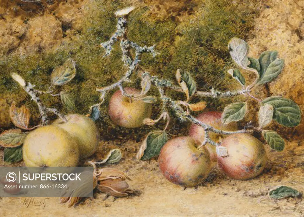 Still Life with Apples, Hazelnuts and Rosehips. William Hough (1819-1897). Pencil and watercolour. 26 x 36.2cm.