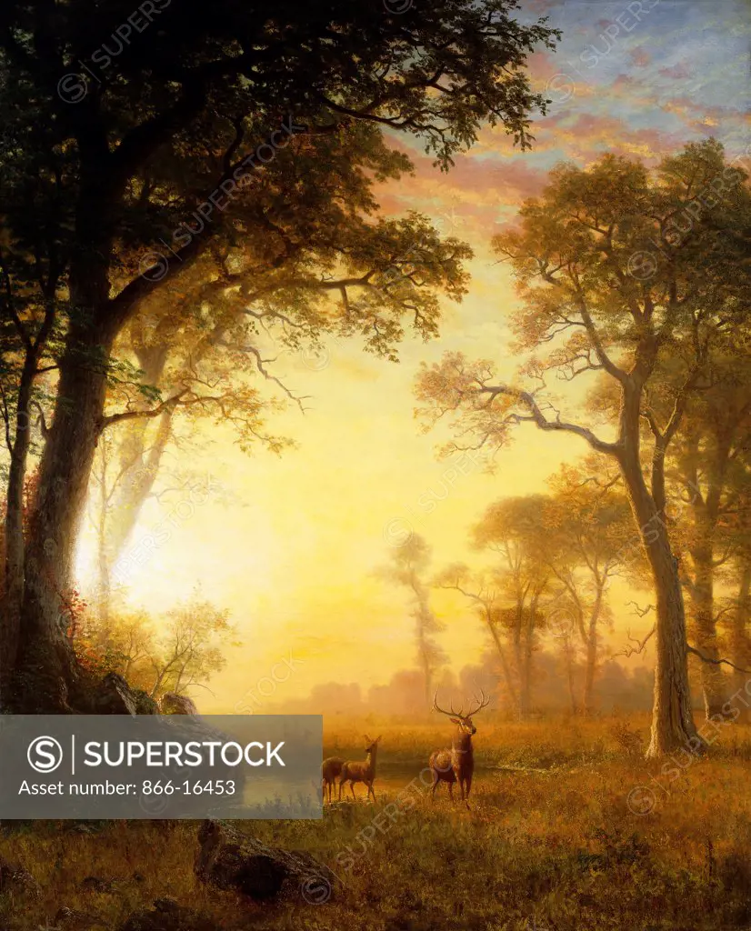 Light in the Forest. Albert Bierstadt (1830-1902). Oil on canvas. 132 x 107cm.