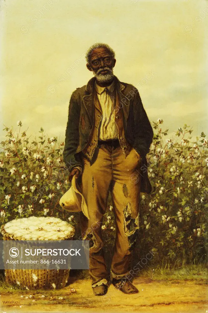 The Old Cotton Picker. William Aiken Walker (1838-1921). Oil on canvas. 45.7 x 30.5cm.