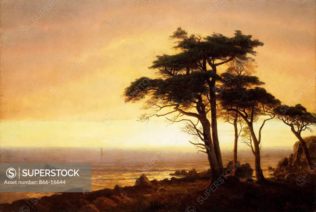 California Coast. Albert Bierstadt (1830-1902). Oil on canvas. 76.8 x 113cm.