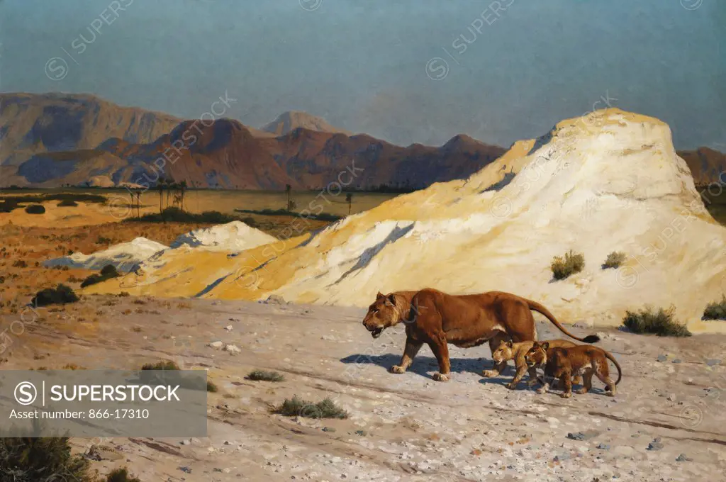 Lioness and Cubs; Lionne et Lioceaux. Jean Leon Gerome (1824-1904). Oil on canvas. 67.5 x 100.5cm.