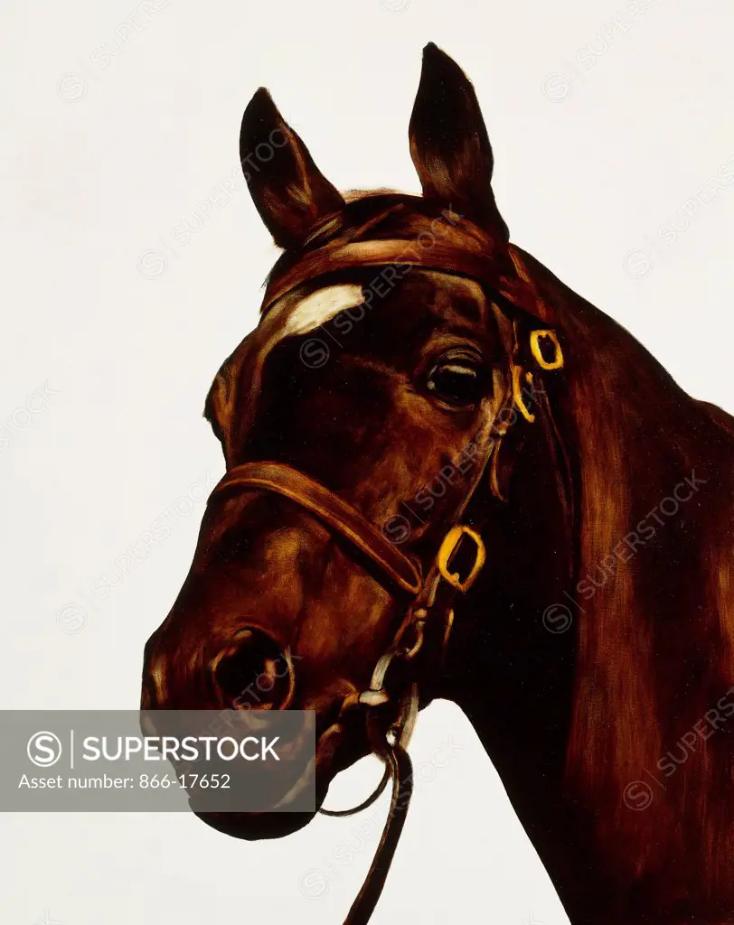 Fathers and Sons: (II) Shergar. Mark Wallinger (b.1959). Oil on canvas. Painted in 1993. 81.25cm x 64.75cm.
