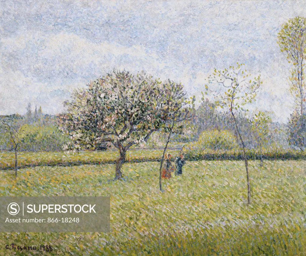 Apple Tree in Flower at Eragny; Pommier en Fleur a Eragny. Camille Pissarro (1830-1903). Oil on canvas. Signed and dated 1888. 46.6 x 55.5cm.
