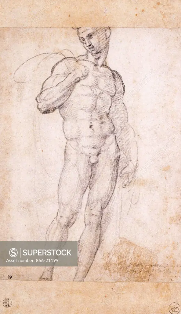 A Nude holding a Cape over his Shoudlers. Baccio della Porta, Fra Bartolommeo (1472-1517). Black chalk. 27 x 196cm.