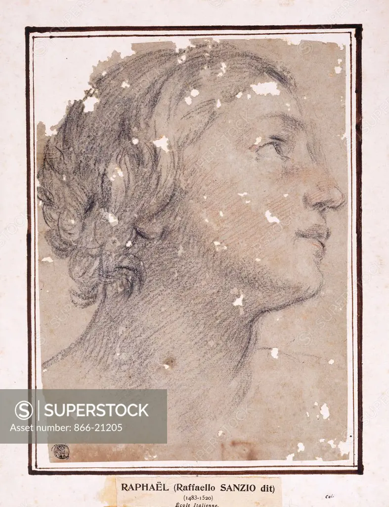 The Head of a Woman, in profile to the right. Francesco Giovanni Gessi (1588-1649). Black, white and red chalk on green-blue paper. 29.4 x 21cm.