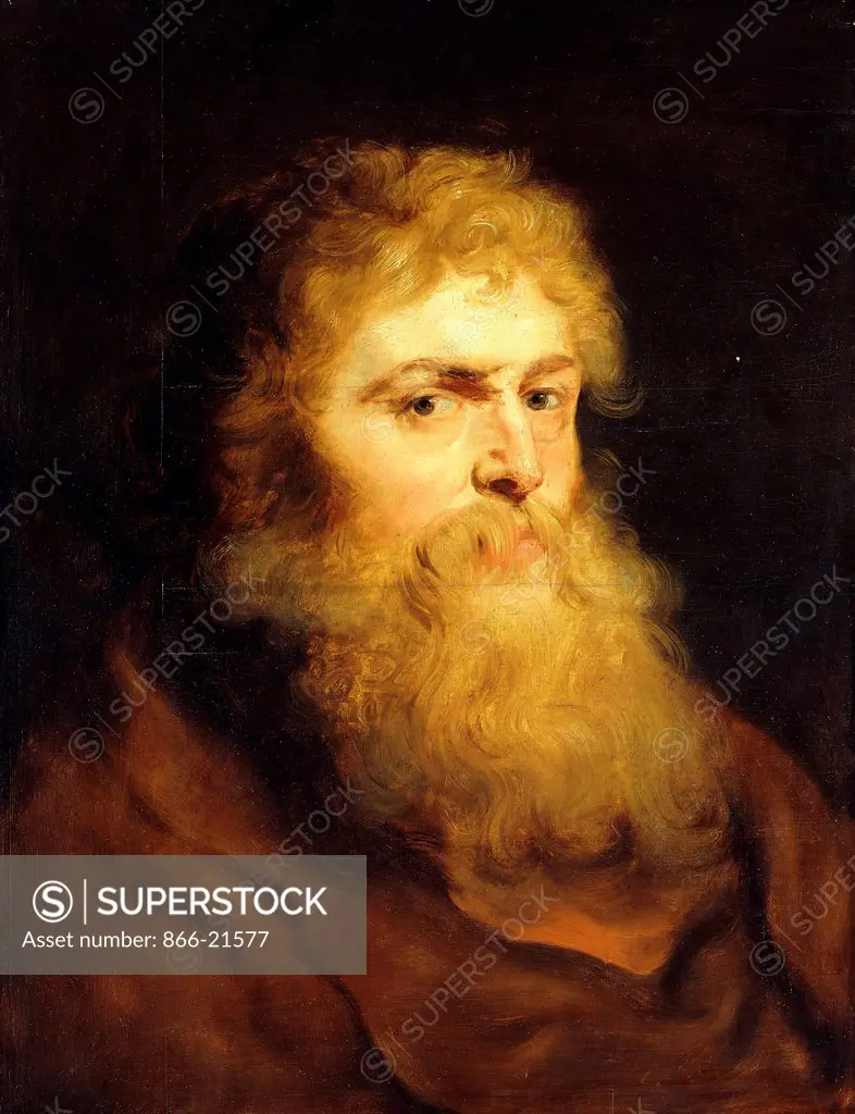 Head of a Bearded Man. Peter Paul Rubens (1577-1640). Oil on panel. 69.7 x 53.4cm.