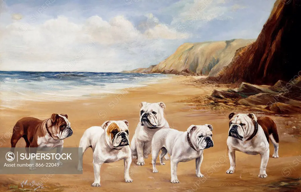 Bulldogs on a Beach. Reuben Ward Binks (fl.1914). Oil on canvas. 61 x 91.5cm.