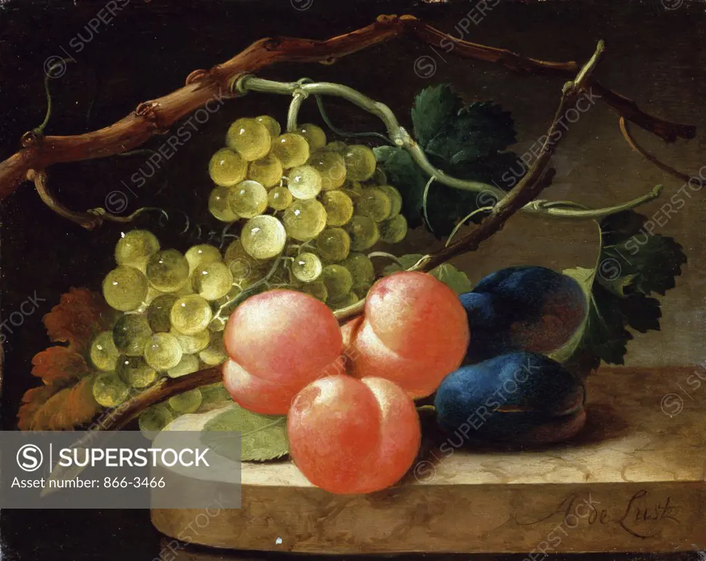 Grapes on a Vine, Peaches and Plums on a Ledge  Follower of Antoni de Lust (c.17th/Dutch) Oil on canvas 