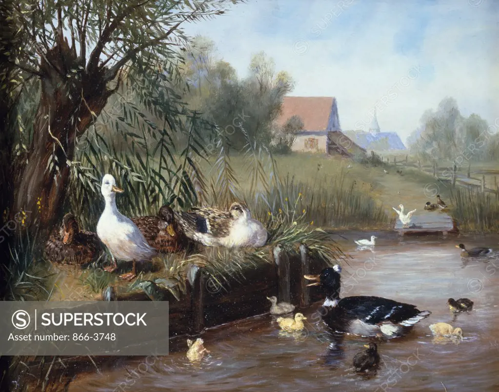 Ducks on river, Carl Jutz I, oil on canvas, (1838-1916), England, London, Christie's Images