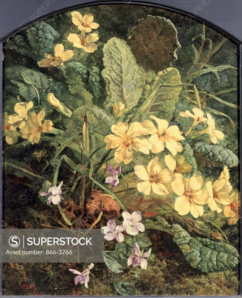Primroses And Violets By A Mossy Bank  S.D. 1860 Mutrie, Annie Feray(1826-1893 British) Oil On Canvas Christie's Images, London, England 