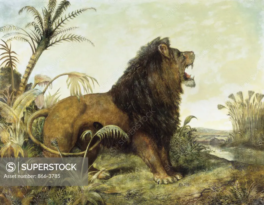 A Lion in a Jungle  William Huggins (1820-1884/British)  