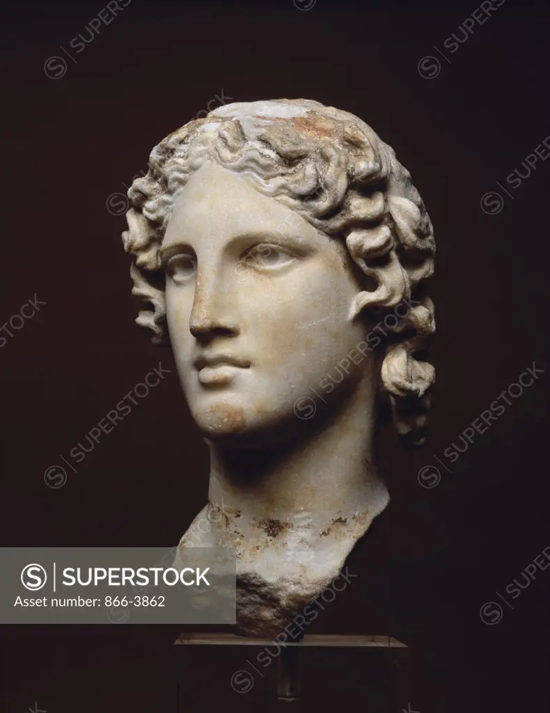 Marble Head of a Young Man  Artist Unknown Marble Sculpture 