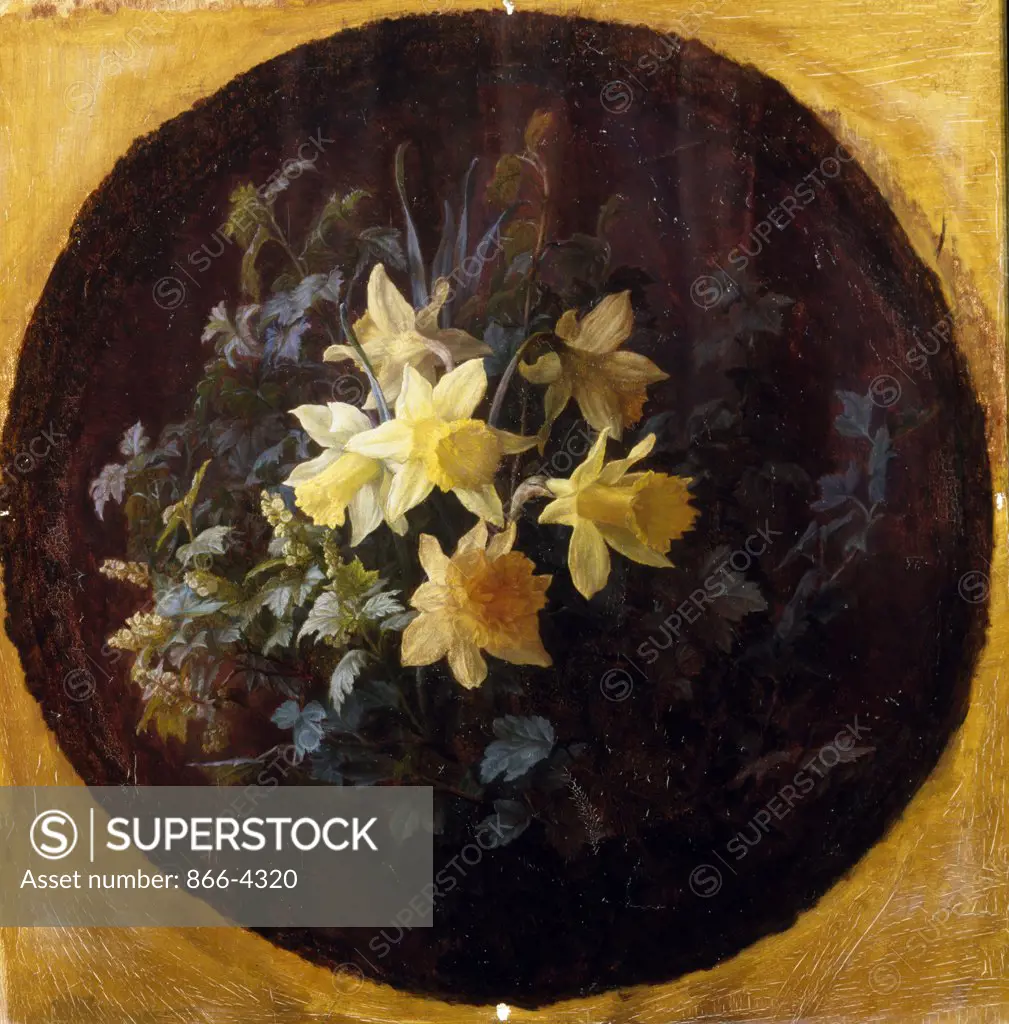 Daffodils by Ove Haase, oil on canvas, (1894-1989), UK, England, London, Christie's Images
