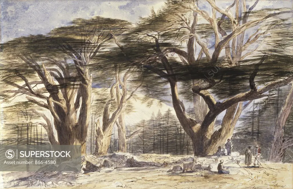 Cedars of Lebanon 1858 Edward Lear (1812-1888 British)