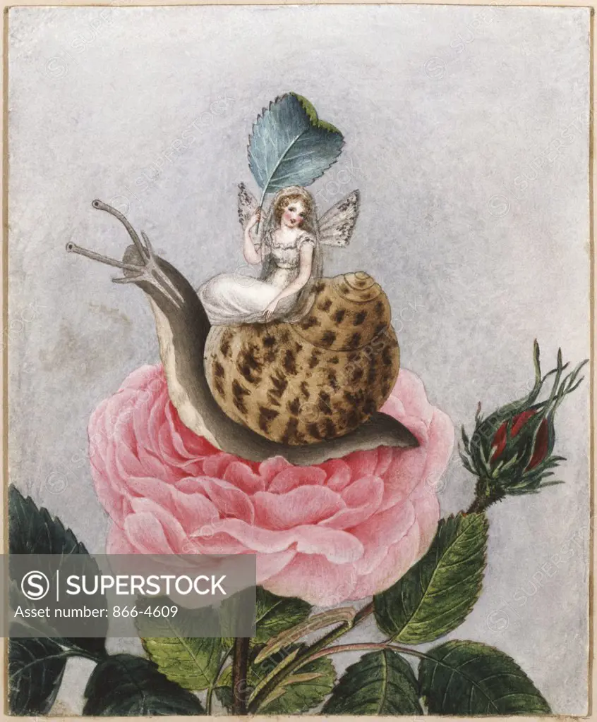 A Fairy Holding a Leaf, Sitting on a Snail Above a Rose Amelia Jane Murray (1800-1896 British)