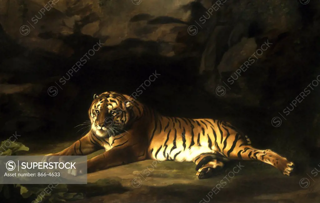 Portrait Of The Royal Tiger  Stubbs, George(1724-1806 British)  