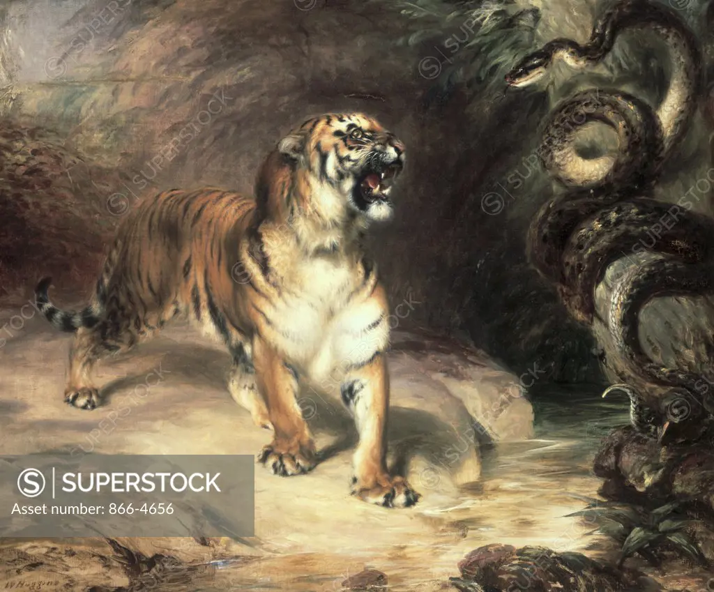 Tiger Confronting a Snake by a Stream in a Wooded Landscape William Huggins (1820-1884/British) 