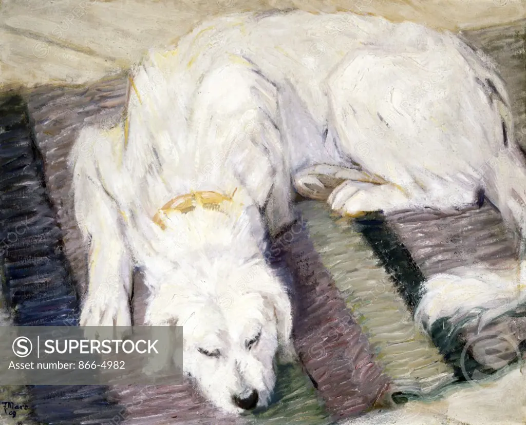 Sleeping Dog   (Liegender Hund)  1909  Franz Marc (1880-1916/German)   