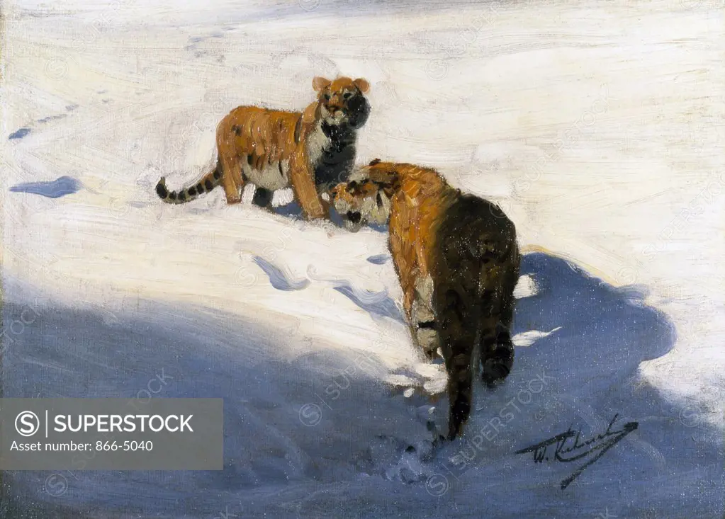 Two Tigers In The Snow Zwei Tiger Im Schnee C. 1890 Kuhnert, Wilhelm(1865-1926 German) Oil On Board Christie's Images, London, England 