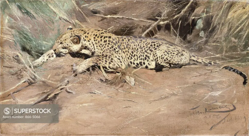 One Leopard Ein Leopard 1906 Wilhelm Kuhnert (1865-1926 German) Oil On Canvas Christie's Images, London, England