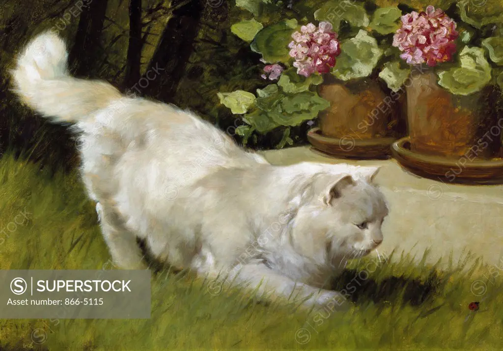 A White Persian Cat With A Ladybird  Heyer, Arthur(1872-1931 British) Christie's Images, London, England 