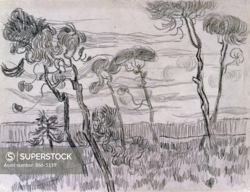 Six Pines Near The Enclosure Wall 1889 Vincent van Gogh (1853-1890 Dutch) Charcoal And Pencil Christie's Images, London, England